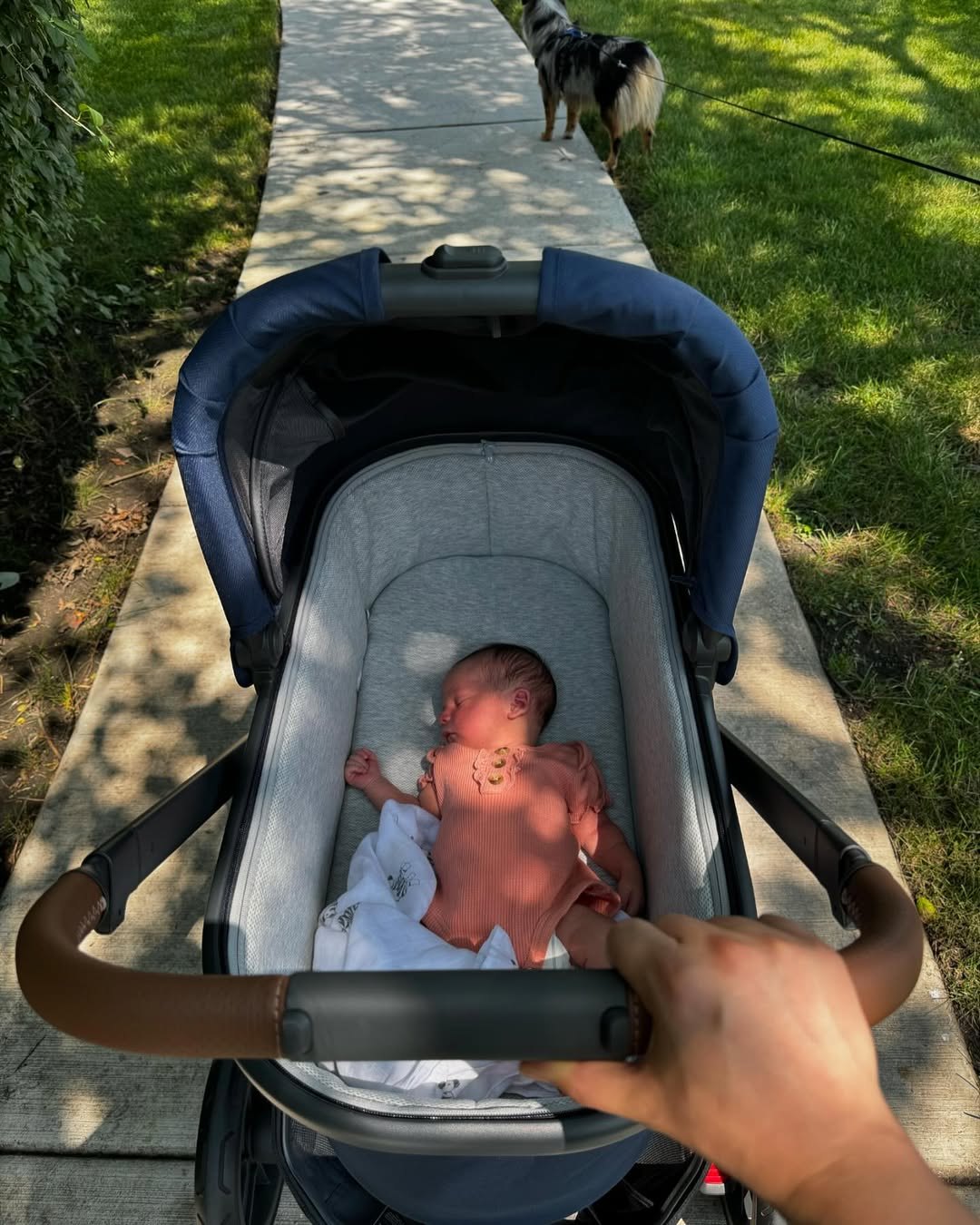 Newborn Avery asleep in a stroller on a sunny sidewalk walk