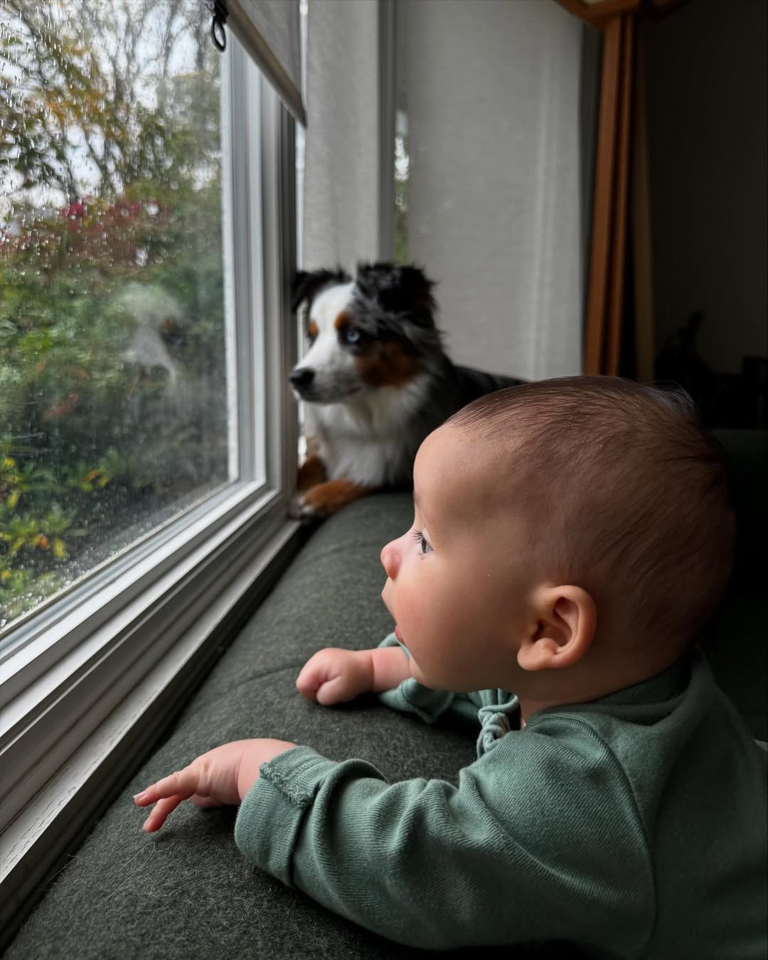 Baby Avery and the family dog looking out a rainy window